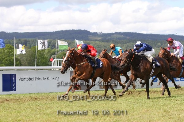 IMG 0341 600x400 prot