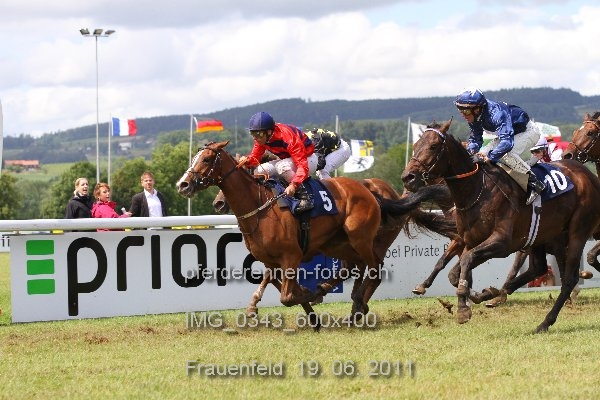 IMG 0343 600x400 prot