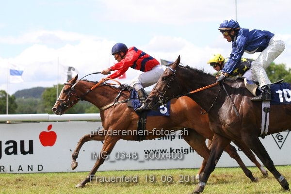 IMG 0348 600x400 prot
