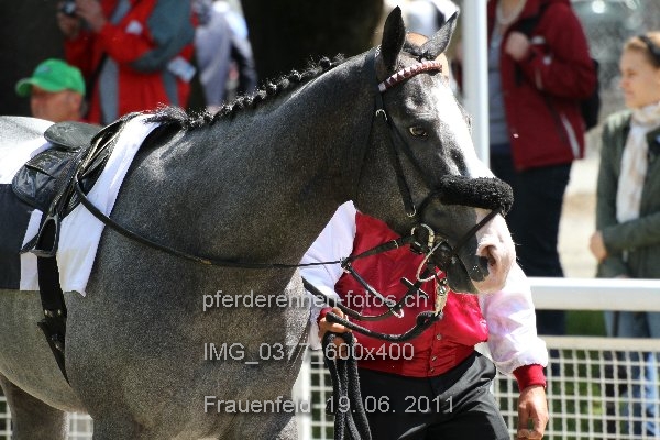 IMG 0377 600x400 prot