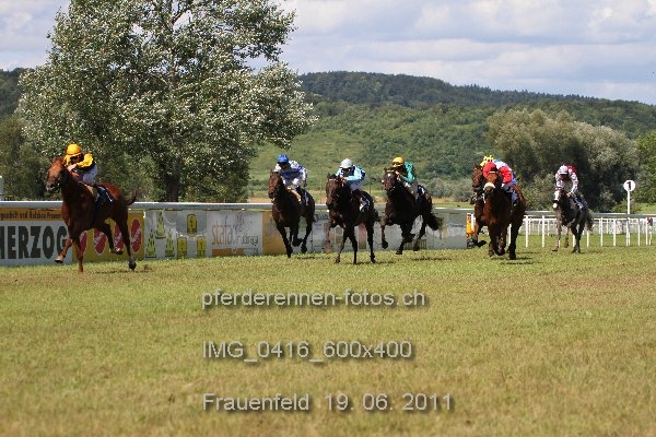IMG 0416 600x400 prot
