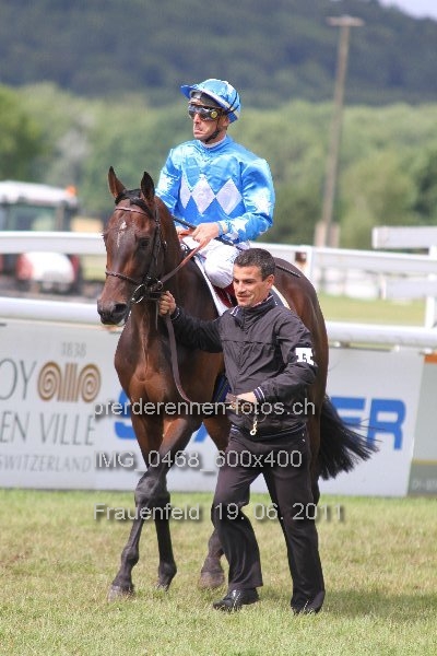 IMG 0468 600x400 prot