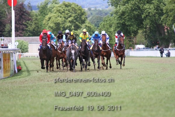 IMG 0497 600x400 prot
