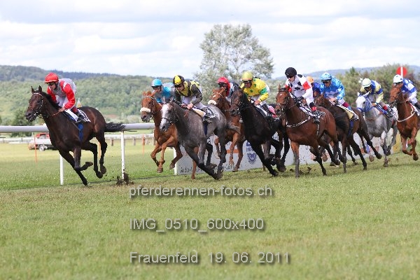 IMG 0510 600x400 prot