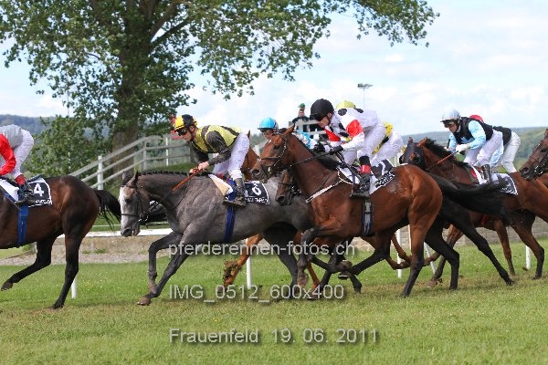 IMG 0512 600x400 prot