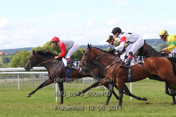 IMG 0513 600x400 prot