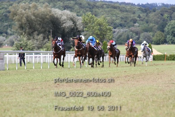 IMG 0522 600x400 prot