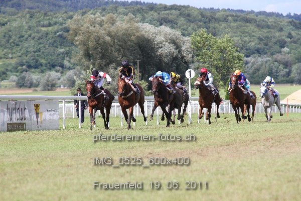 IMG 0525 600x400 prot