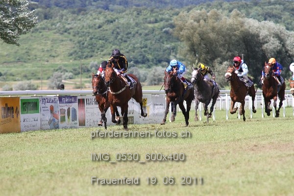 IMG 0530 600x400 prot