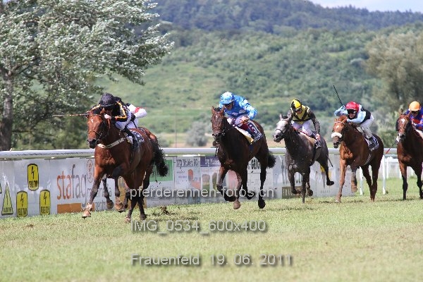 IMG 0534 600x400 prot