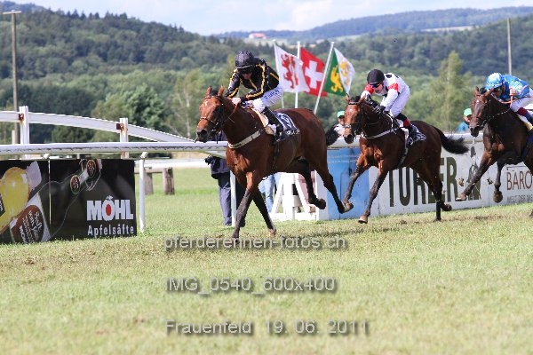 IMG 0540 600x400 prot