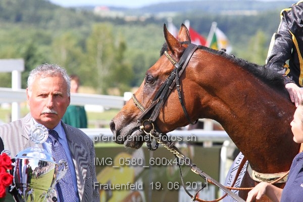 IMG 0580 600x400 prot