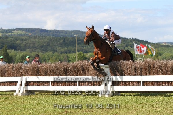 IMG 0629 600x400 prot