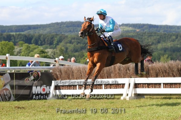 IMG 0636 600x400 prot