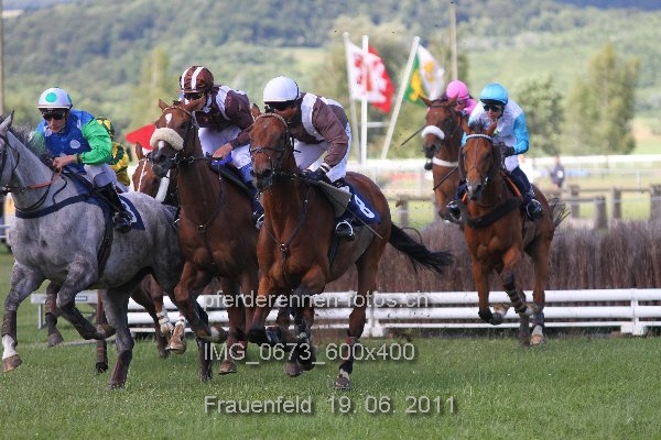 IMG 0673 600x400 prot