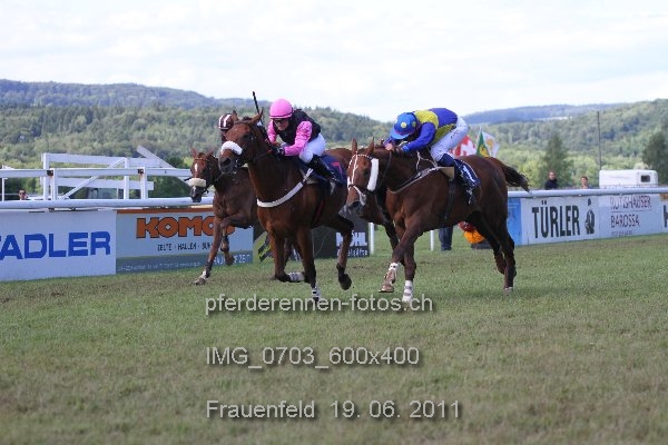 IMG 0703 600x400 prot