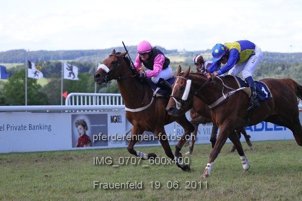 IMG 0707 600x400 prot