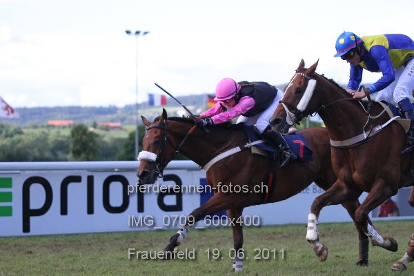 IMG 0709 600x400 prot