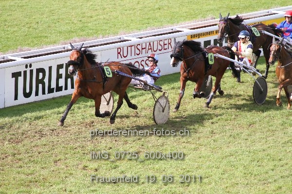 IMG 0725 600x400 prot