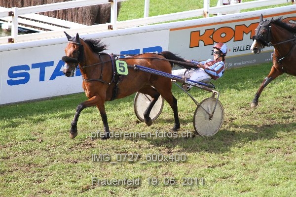 IMG 0727 600x400 prot