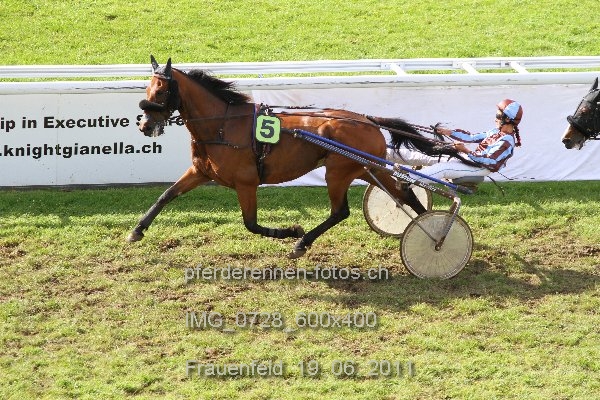 IMG 0728 600x400 prot