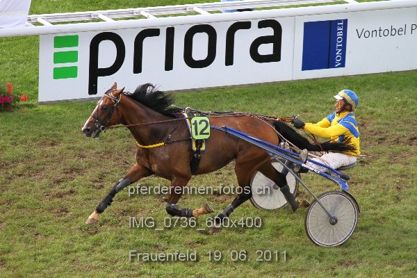 IMG 0736 600x400 prot