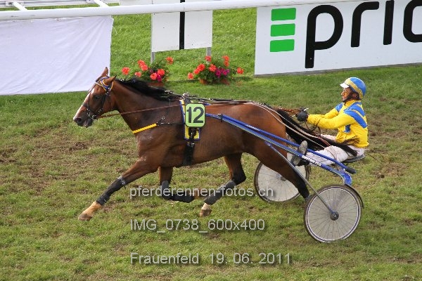 IMG 0738 600x400 prot