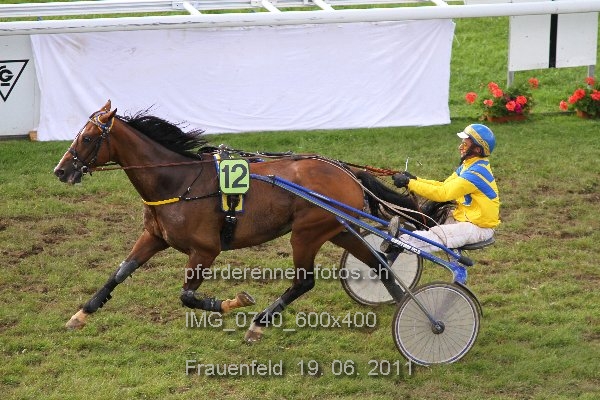 IMG 0740 600x400 prot