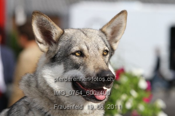 IMG 0754 600x400 prot