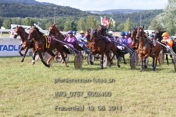 IMG 0757 600x400 prot