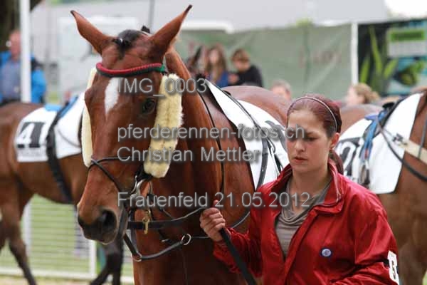 IMG 0003 prot