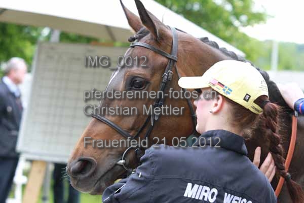 IMG 0012 prot