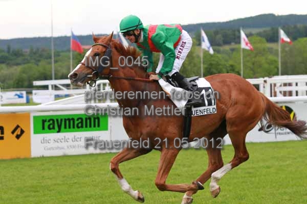IMG 0045 prot