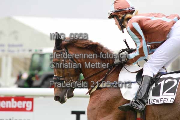 IMG 0058 prot
