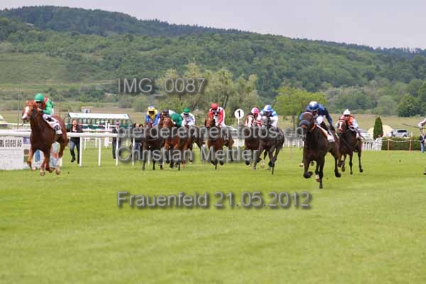 IMG 0087 prot