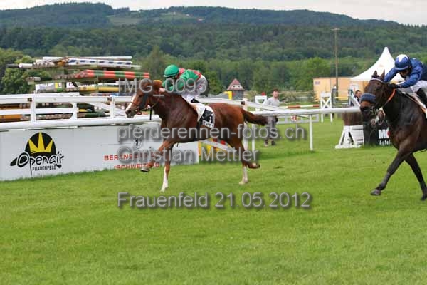 IMG 0093 prot