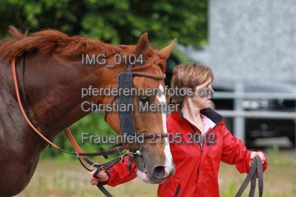 IMG 0104 prot