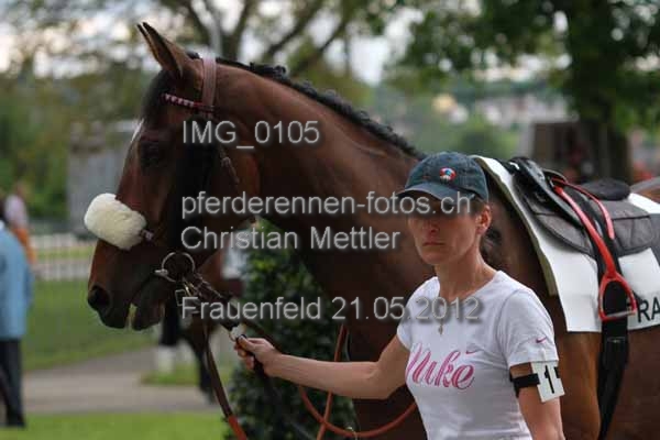 IMG 0105 prot