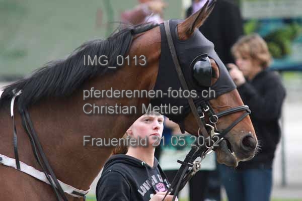 IMG 0113 prot
