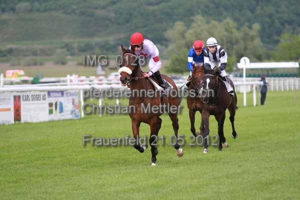 IMG 0128 prot