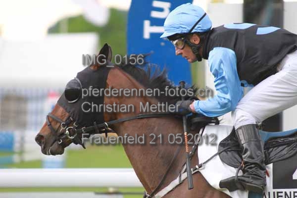 IMG 0156 prot