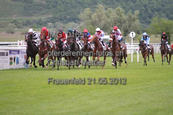 IMG 0165 prot