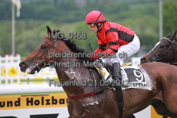 IMG 0168 prot
