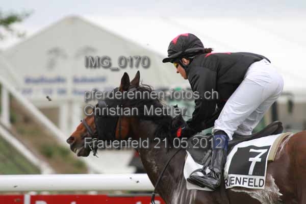 IMG 0170 prot