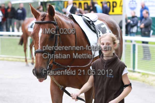 IMG 0206 prot