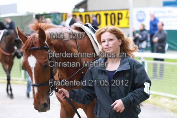 IMG 0207 prot
