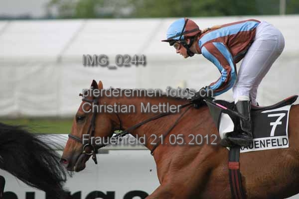 IMG 0244 prot