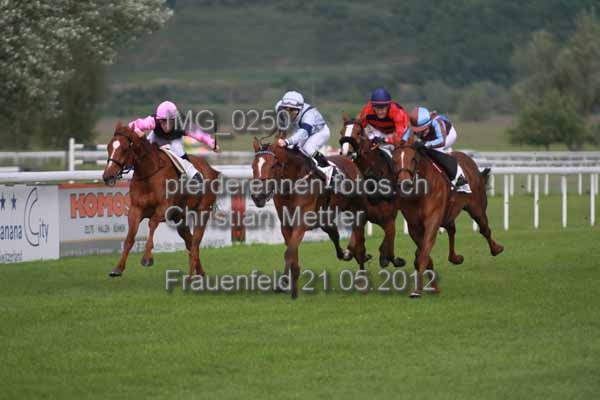 IMG 0250 prot