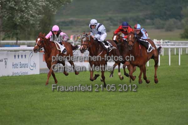 IMG 0251 prot