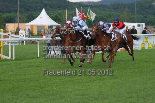 IMG 0256 prot